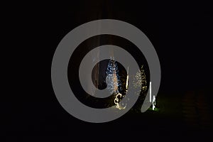 Christmas trees with squirrels