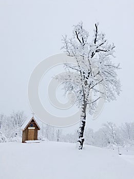 Small church and snowy tree on a winter day
