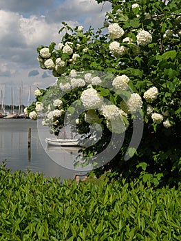 The small city of Arnis in Schleswig-Holstein