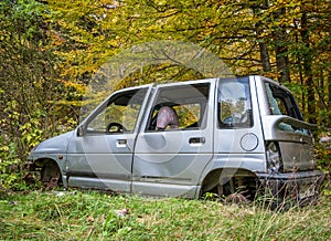 Small city car abandoned in the forest