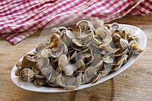 Small clams or telline