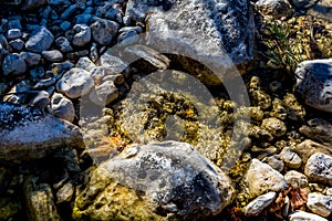 Small Clear Rocky Brook or Creek in Texas