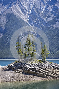 Small cluster of pine trees on rocky outcrop in Lake Minnewanka in Banff National Park, Alberta, Canada