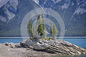 Small cluster of pine trees on rocky outcrop in Lake Minnewanka in Banff National Park, Alberta, Canada