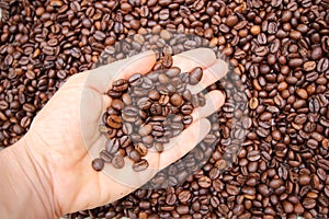 Background with many small coffee beans in the hand photo