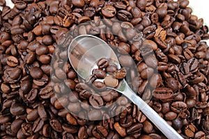 Background with many coffee beans and metal spoon photo