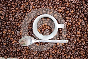 Background with many coffee beans. photo