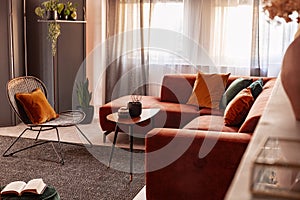 Coffee table in front of comfortable corner sofa in autumn colored living room interior