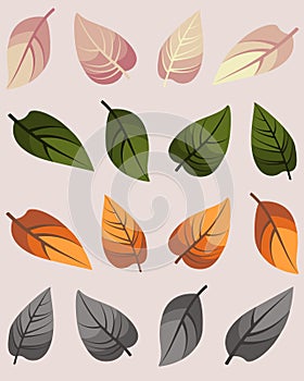 Small collection of colorful leaves. Spring, summer, autumn and winter leaves for postcards, banners and for your varied design.