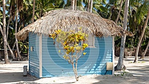 The small colorful house on the Saona Island of the Dominican Republic