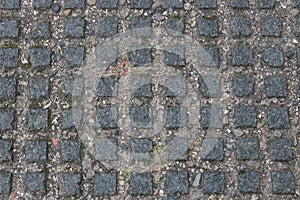 Small compact cobbles on the footpath