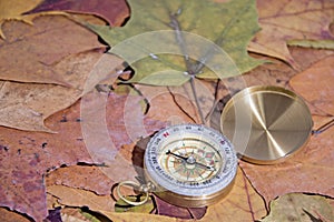 Small compass on falling maple leaves. Navigation abstract photo