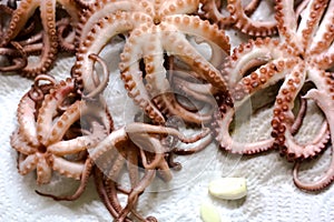 Small cooked octopuses