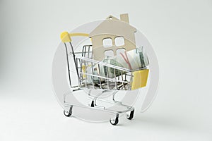 A small copy of the house lies in the shopping cart