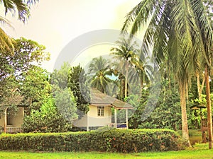 Small cottage among tropical palm trees,