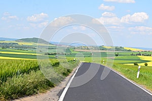 small country road through grain field