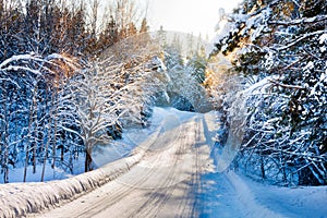 Small country road in winter with sunshine on snowy trees