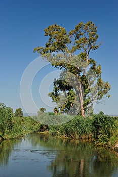 Small countryside river