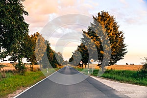 Small countryside road with trees on both sides photographed during sunset