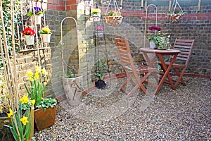 Small courtyard garden