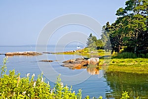 Small cove along Maine coast