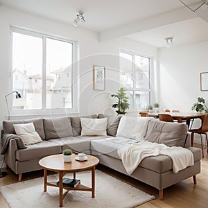 Small cozy living room in white flat