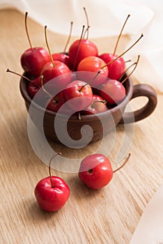 Small crab apples in the cup. Wild apples strewn around the cup.