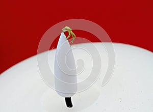 A small crab spider on a plastic flame of led candle