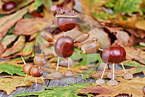 Small creatures made of chestnuts and acorns