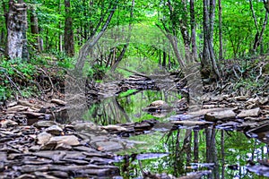 A small creek