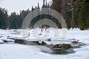 Small creek in Altai village Ust'-Lebed' in winter season