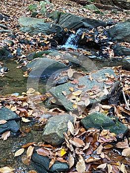 Small Creek in Autumn in Early November