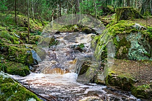 Small creek flushing through moss covered rocks