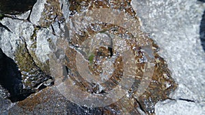 Small creek of glacial water flows over the stone