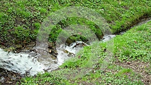 Small creek in park in springtime