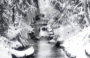 Small Creek after snow storm.