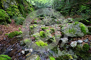 Small creek under Mount Olympus with moss covered rocks during spring