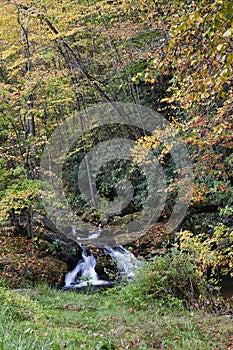 Small Creek and Waterfall in Rural North Carolina