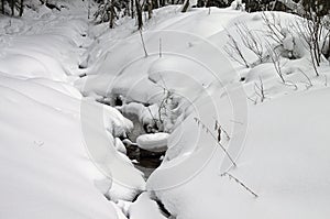 Small creek in a winter forest.