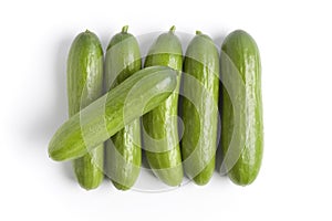 Small cucumbers on a row photo