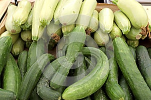 Small cucumbers and zucchini, greengrocery, green vegetables