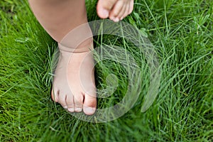 Small cute baby feet.