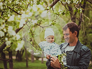 Small cute baby boy with his father walking in spring park outdoor. Man hold his little son on hands. Blooming trees in