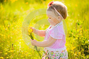 Small cute child playing alone in spring or summer sunny meadow