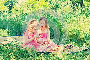 Small cute funny girls (sisters) at the picnic.