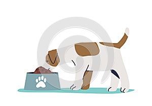 Small cute pappy eating dry food from dog bowl. Little domestic dog pet on white background