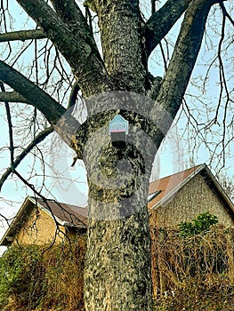 Small cute tree house for birds, hotel for birds, in a cottage-colony by the river, security, home, family