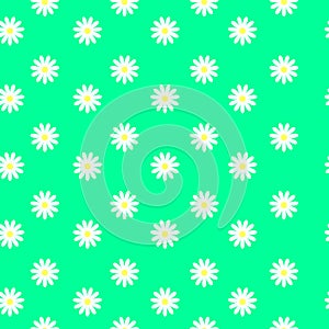 Small daisies on a green background, seamless pattern