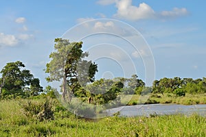 Small dam in green veld