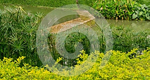 A small dam in a lake, among green shrub and bush